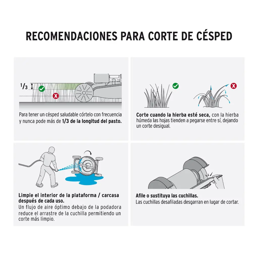 4.webp